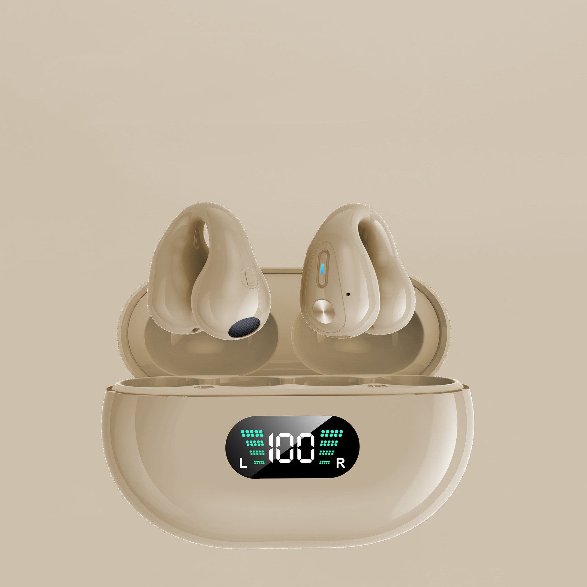 Earbuds Clip