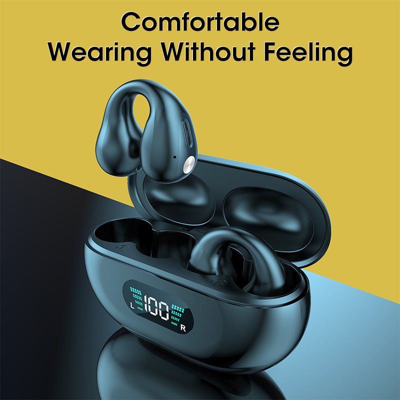 Earbuds Clip