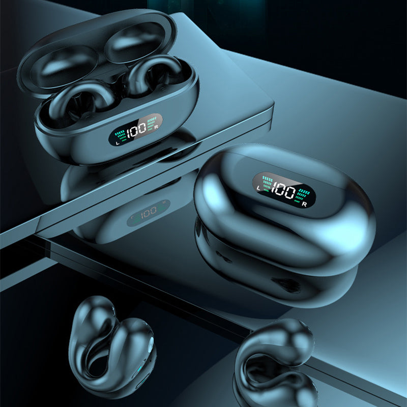 Earbuds Clip