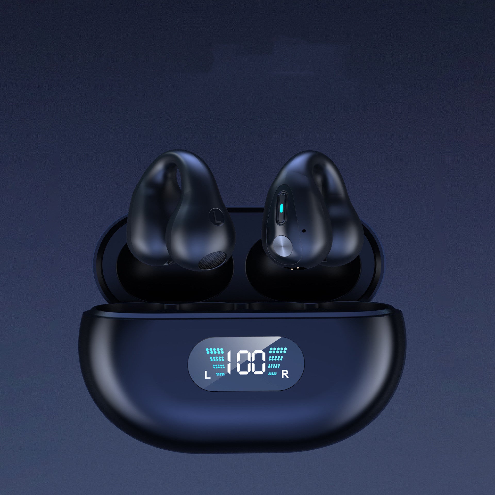Earbuds Clip